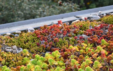 the cost of Chislet green roof installation